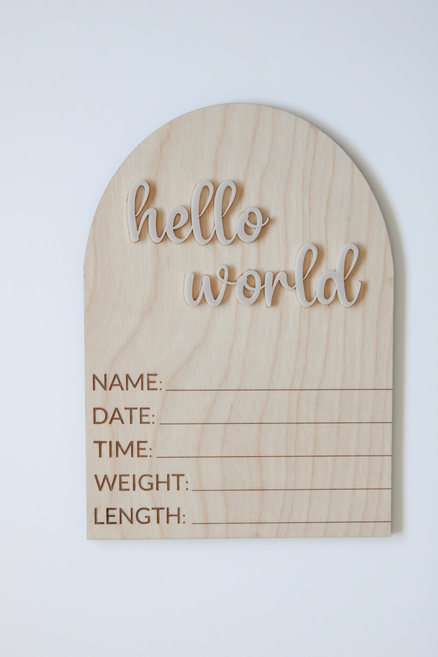 Hello World Baby Stat Sign Baby Birth Announcement