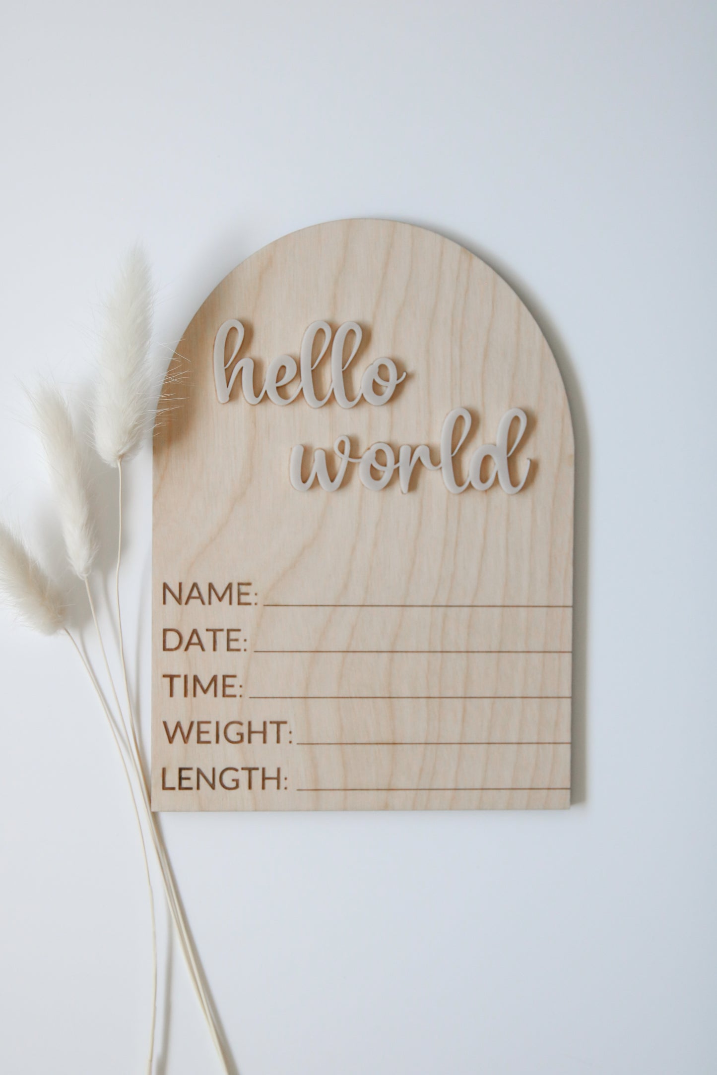 Hello World Baby Stat Sign Baby Birth Announcement