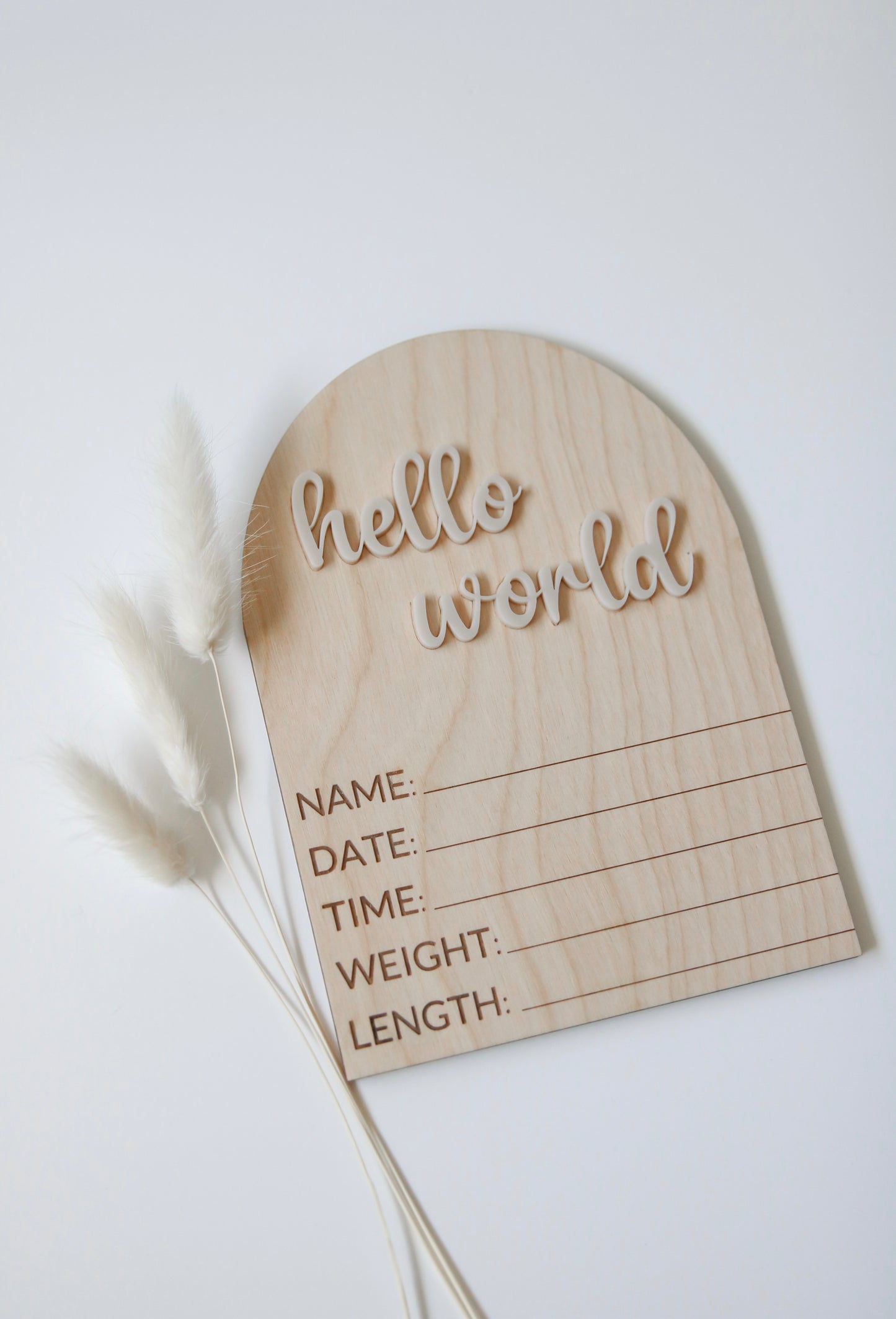 Hello World Baby Stat Sign Baby Birth Announcement