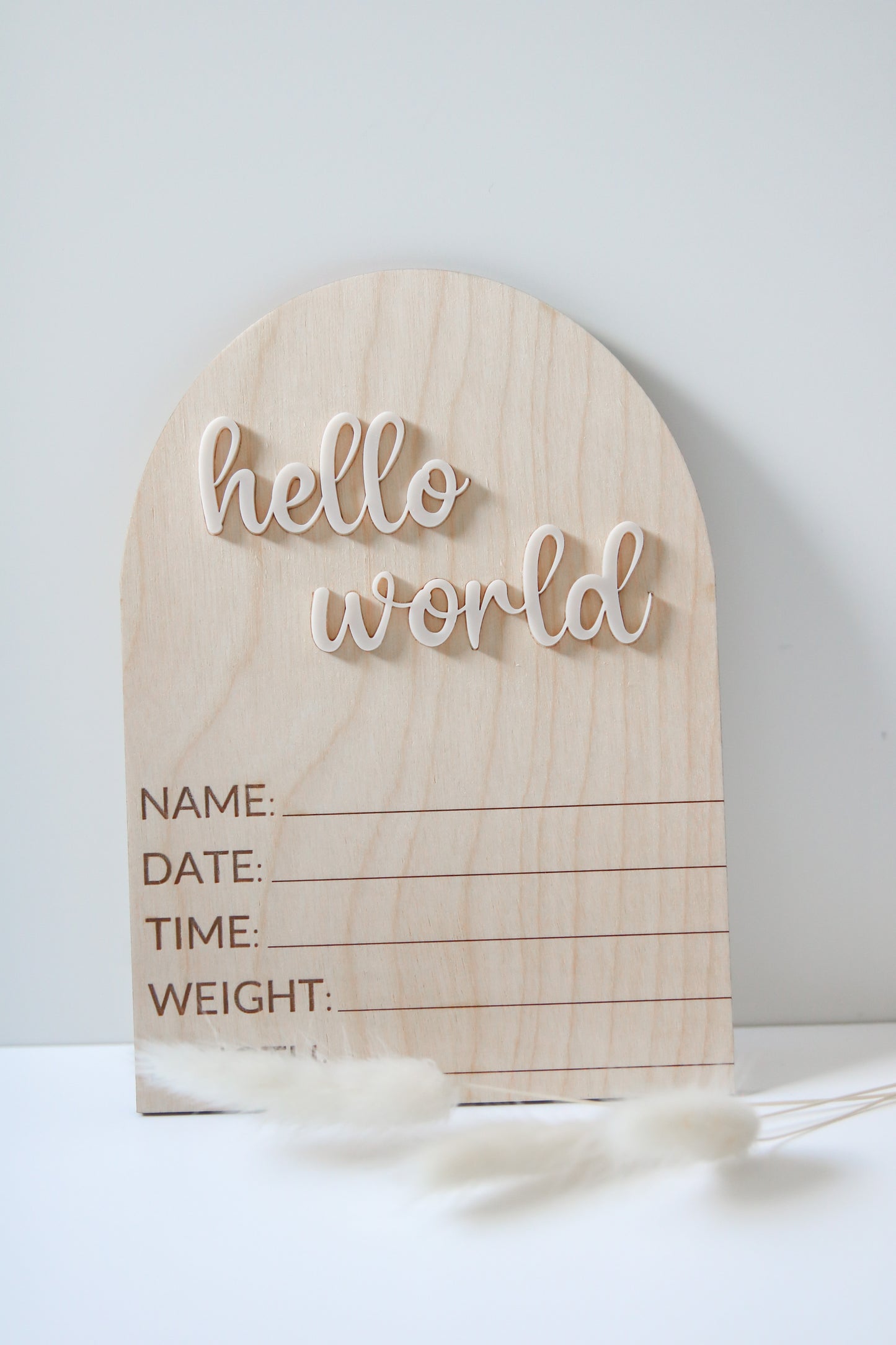Hello World Baby Stat Sign Baby Birth Announcement